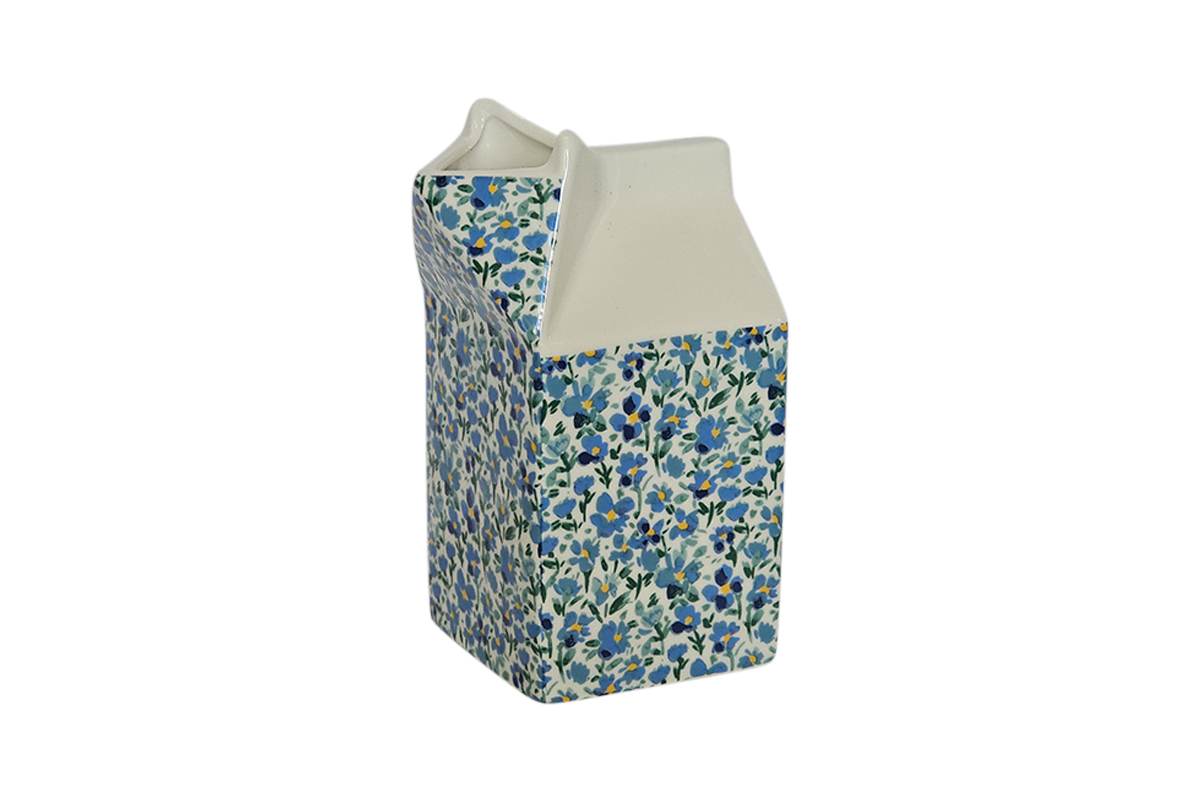 Carton Jug