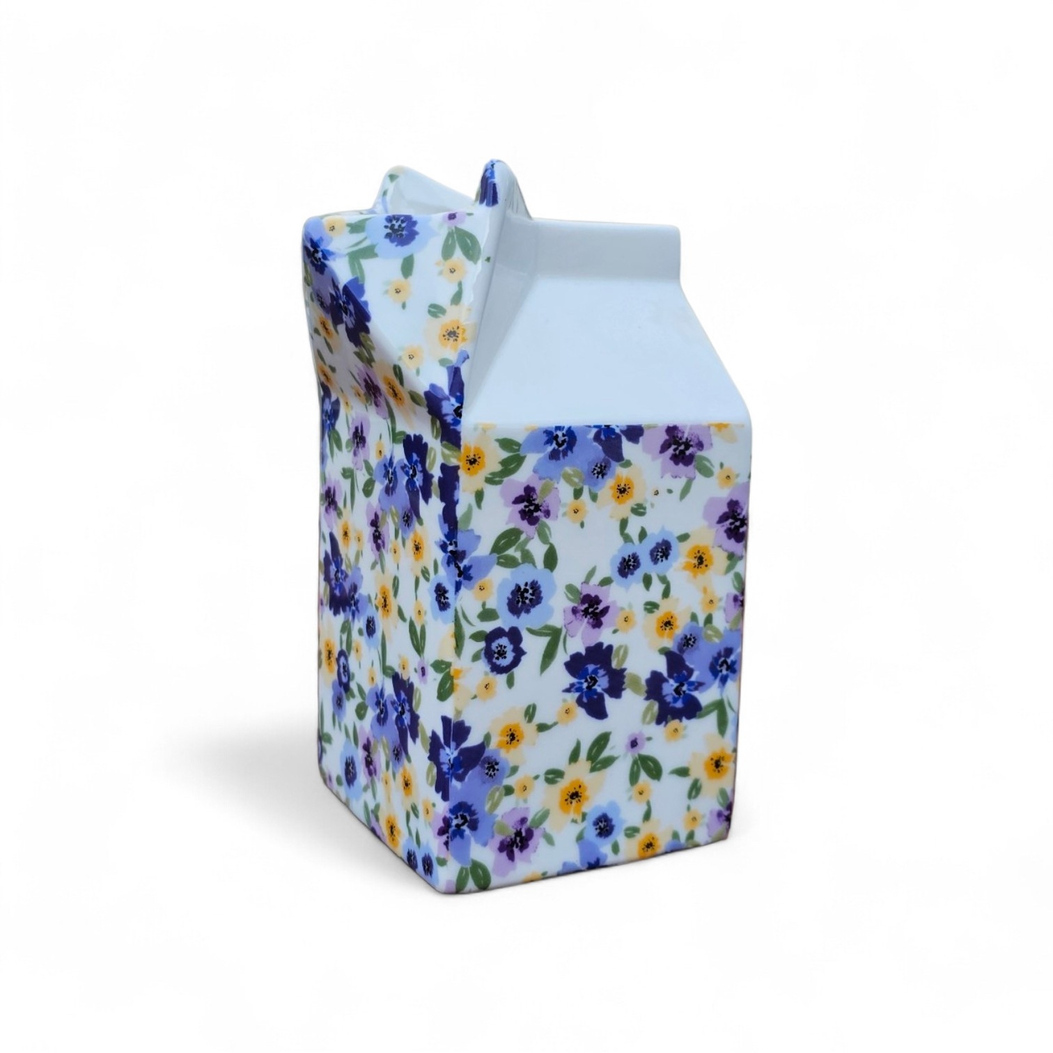 Carton Jug